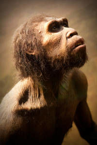 Homem Neandertal